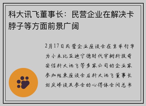 科大讯飞董事长：民营企业在解决卡脖子等方面前景广阔