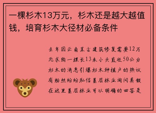 一棵杉木13万元，杉木还是越大越值钱，培育杉木大径材必备条件
