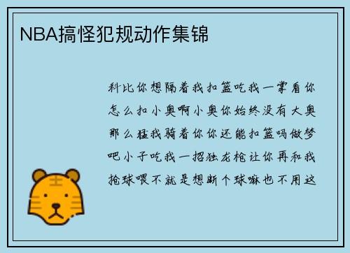 NBA搞怪犯规动作集锦