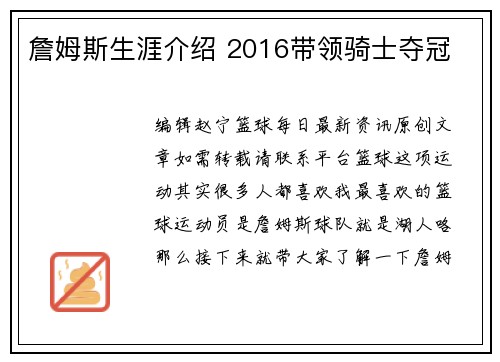 詹姆斯生涯介绍 2016带领骑士夺冠
